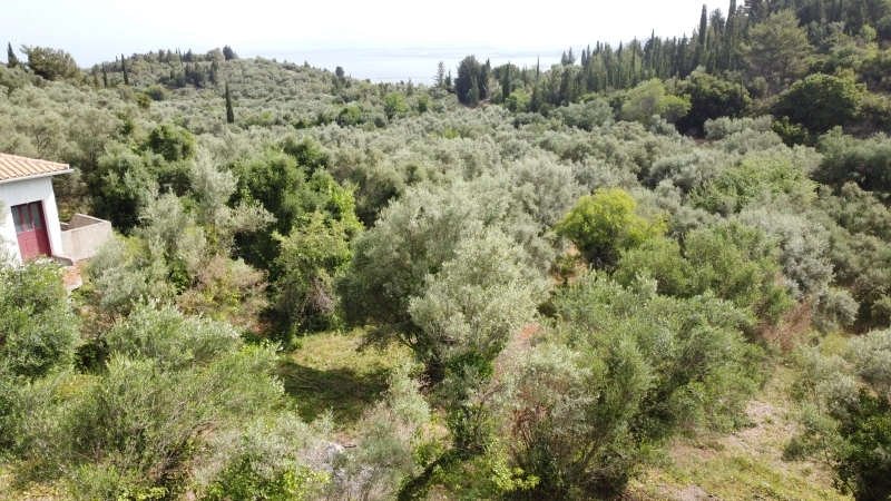 1 - vente terrain vue mer lefkada îles ioniennes grèce