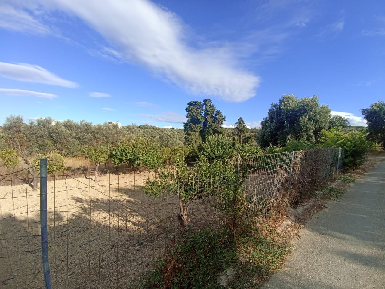 2 - vente terrain kontomári crète grèce