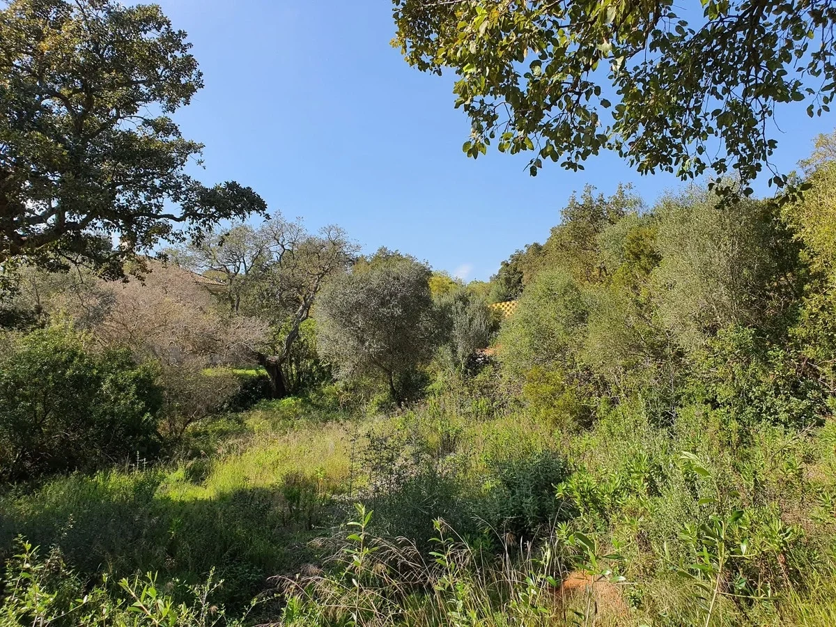 2 - venta terreno sotogrande andalucía españa