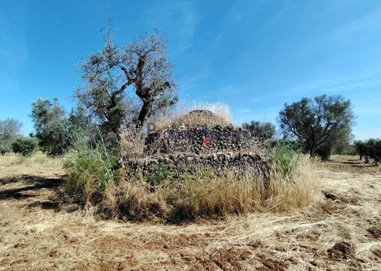 2 - venda casa carovigno apulia itália
