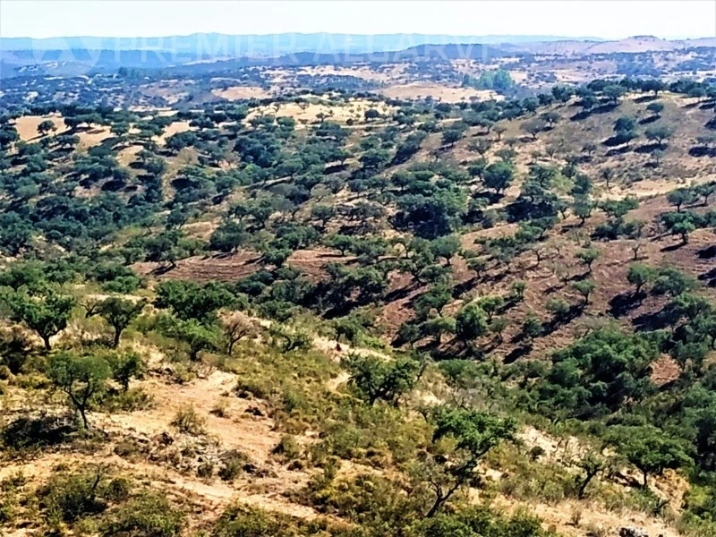 2 - venta propiedad mértola alentejo portugal