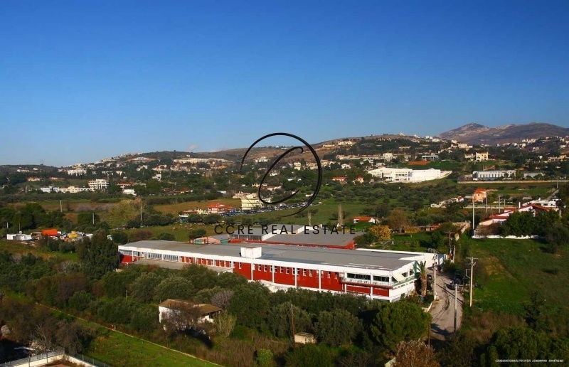 2 - vente terrain pallini attique grèce
