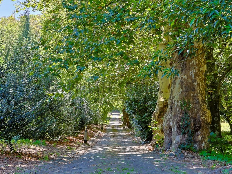 1 - venda propriedade sintra região de lisboa portugal