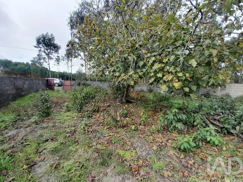 1 - venta terreno tocha región centro portugal