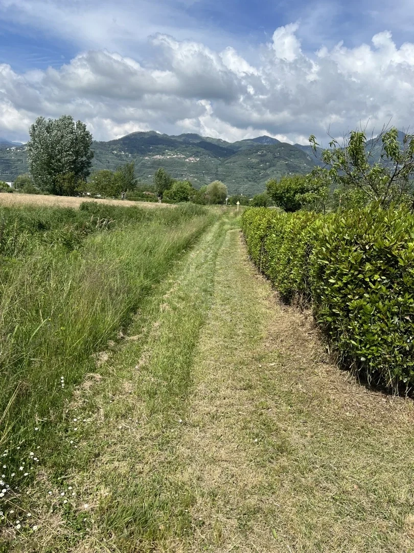 1 - venda terreno pietrasanta toscana itália