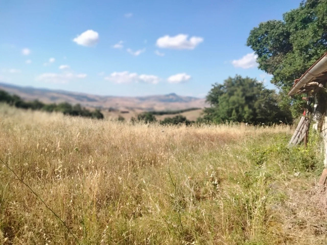 2 - venta comercio castell'azzara toscana italia