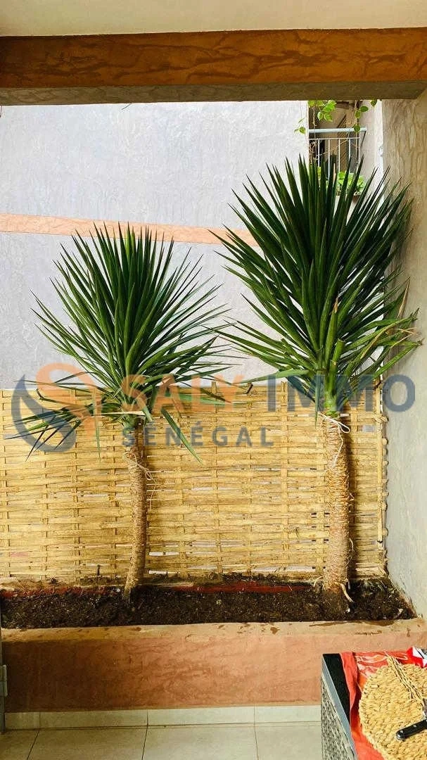 2 - vente appartement ngaparou thiès sénégal
