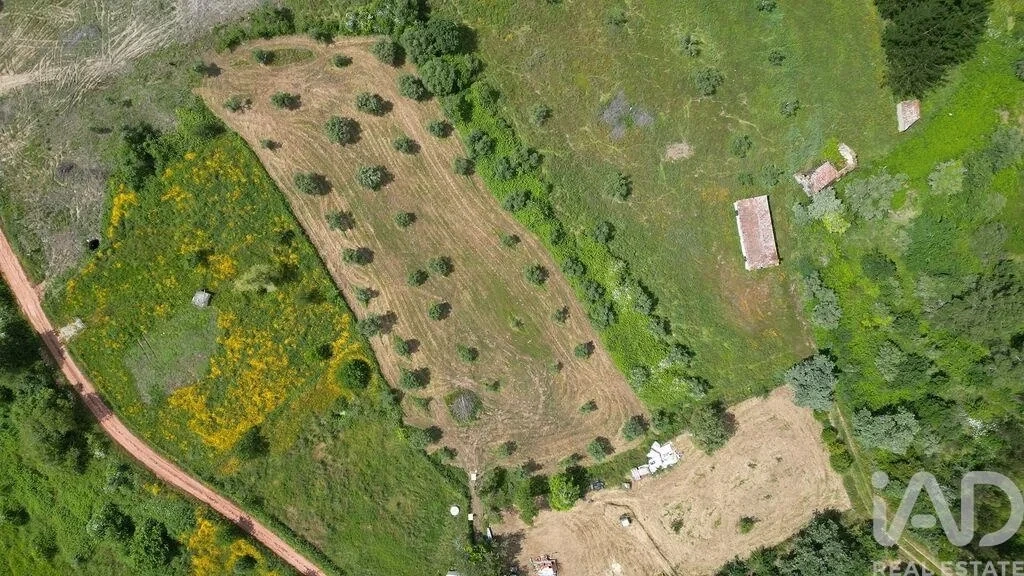 2 - plot of land for sale in espinhal centro region portugal