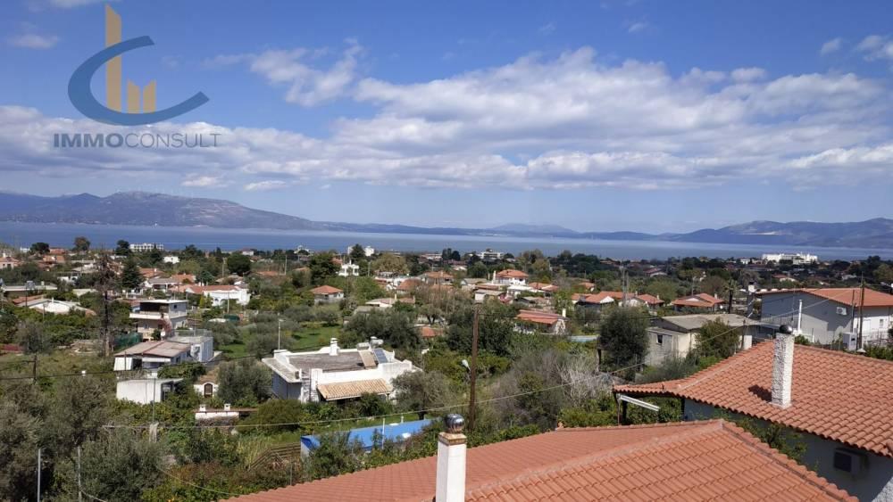 2 - vente appartement plage à pied kalamos attique grèce