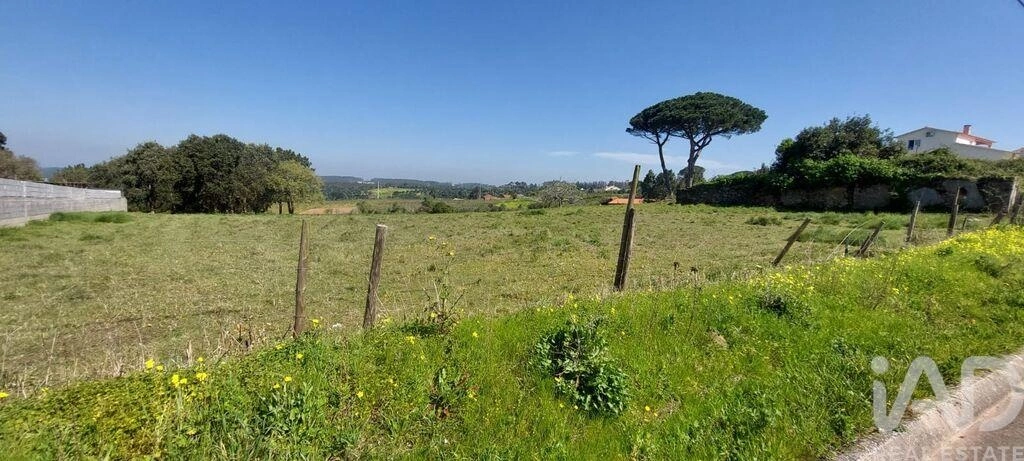 2 - verkauf grundstück aljubarrota region zentrum portugal