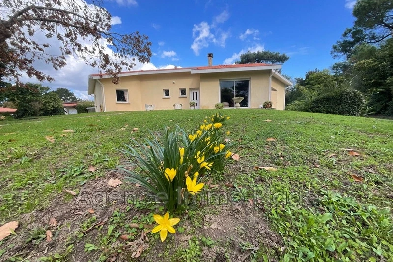 2 - verkauf haus queyrac gironde frankreich