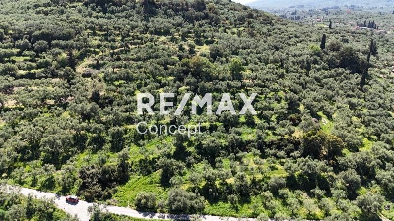 2 - venta terreno zante islas jónicas grecia