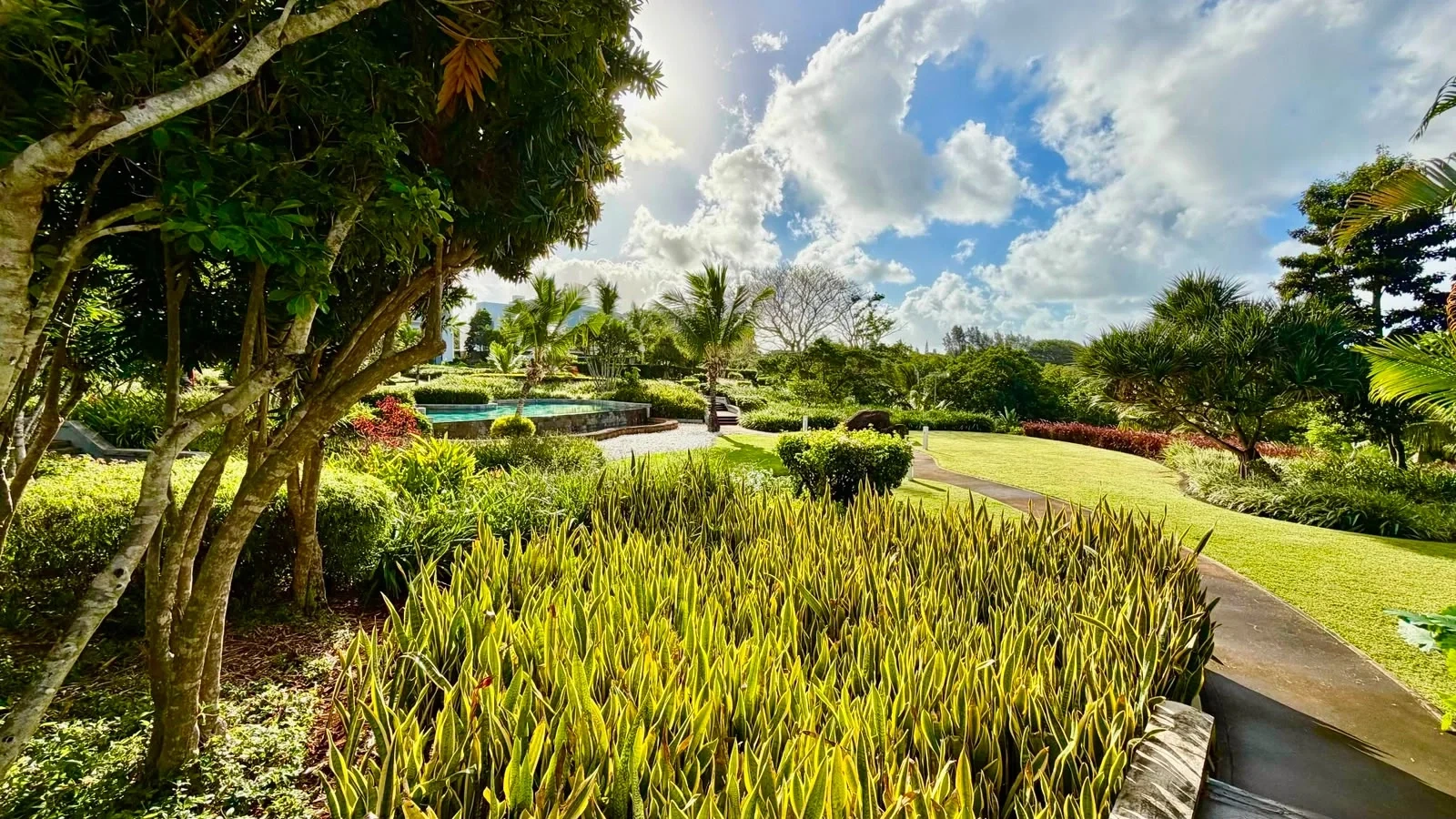 1 - beach walk apartment for sale in roches noires rivière du rempart mauritius