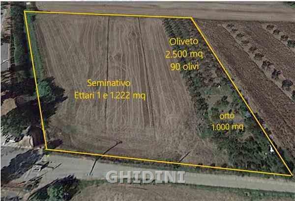 1 - vente terrain grosseto toscane italie