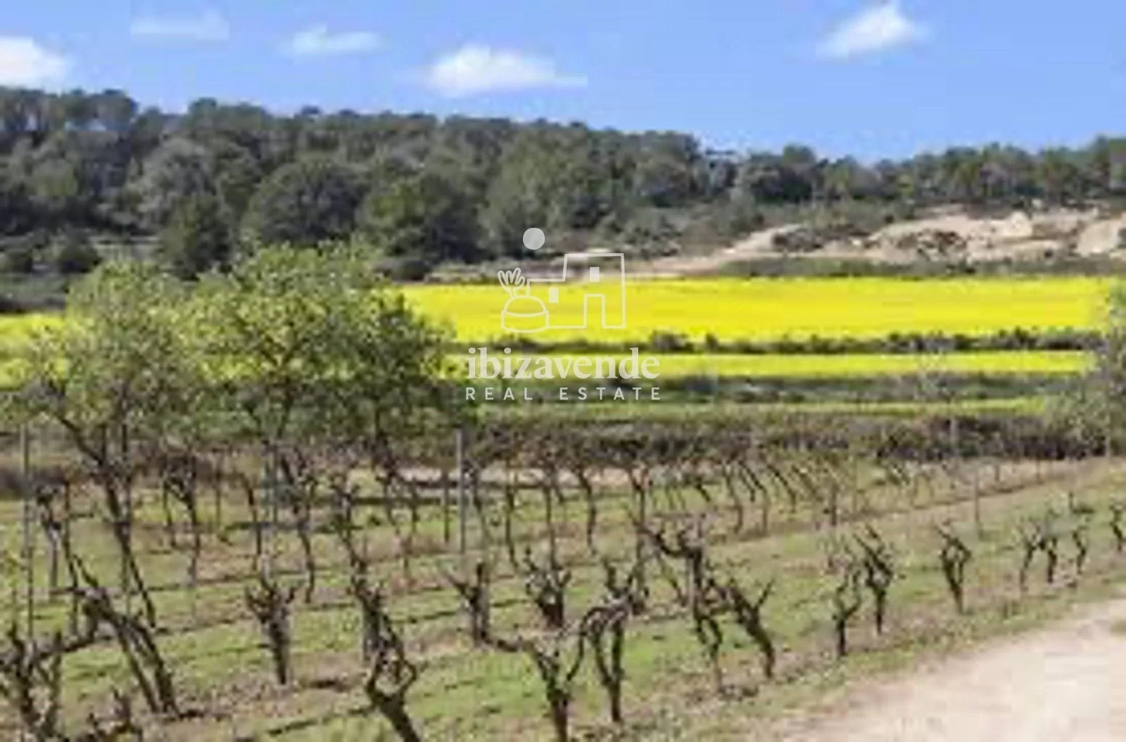 1 - venta casa sant llorenç de balafia ibiza - islas baleares españa