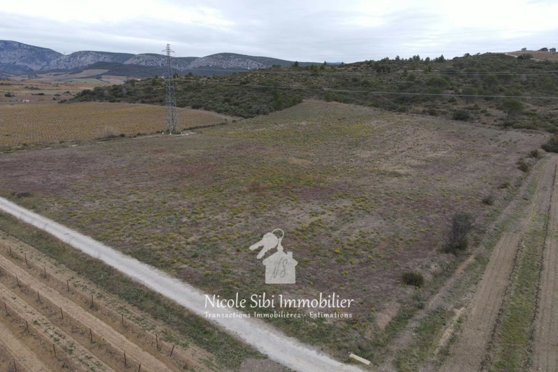 1 - verkoop terrein tautavel pyrénées-orientales frankrijk