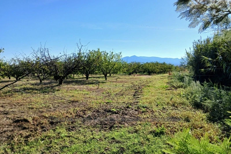2 - verkoop terrein ceret pyrénées-orientales frankrijk