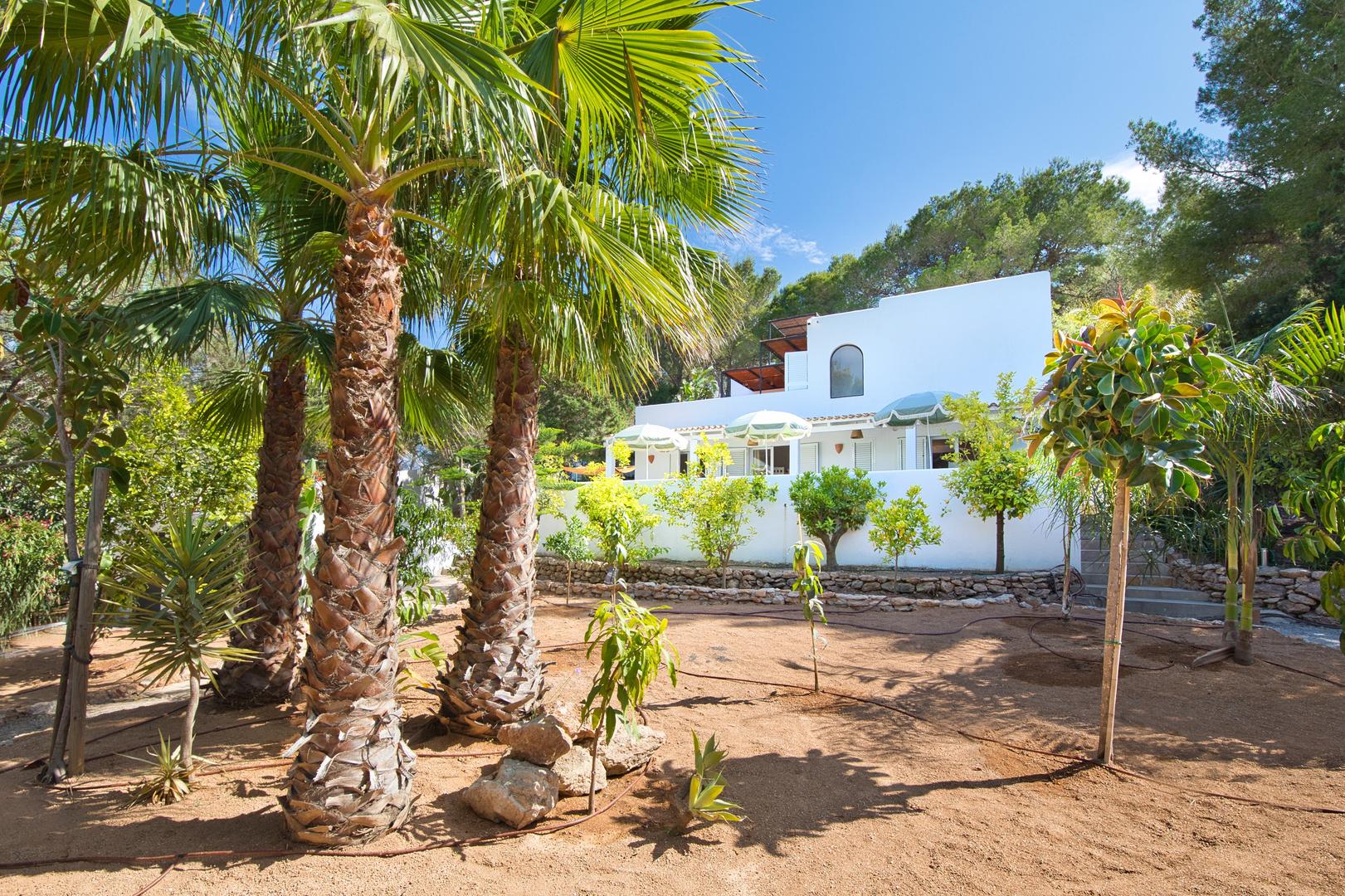 2 - ferienmiete haus cala llenya ibiza - balearen spanien