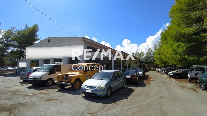 2 - vendita stabile zante isole ioniche grecia