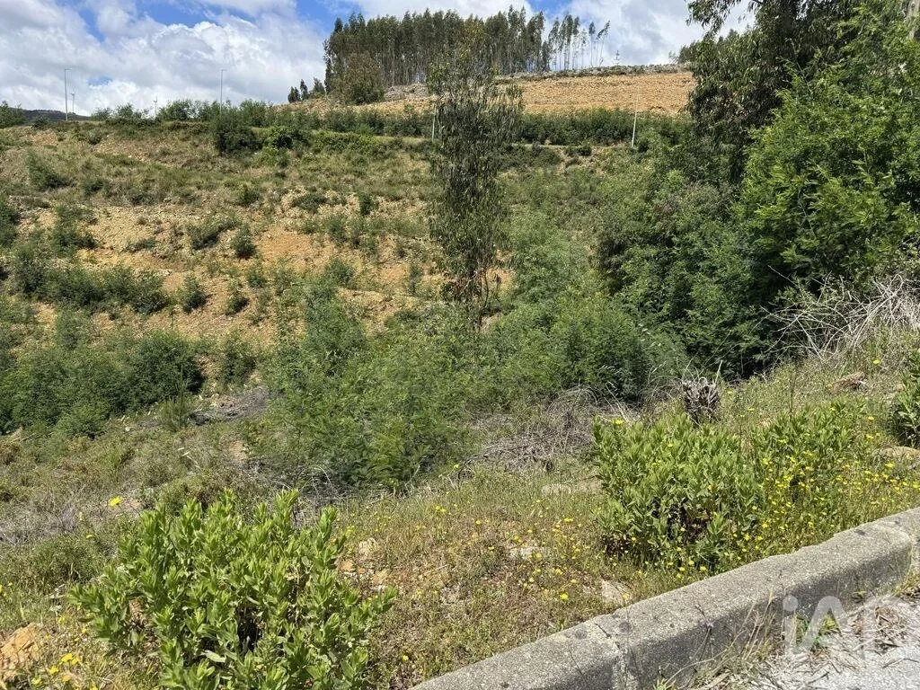 2 - verkauf grundstück castanheira de pêra region zentrum portugal