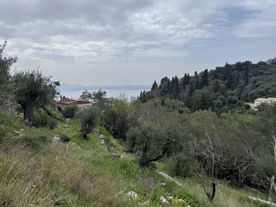1 - vente terrain vue mer nissaki îles ioniennes grèce