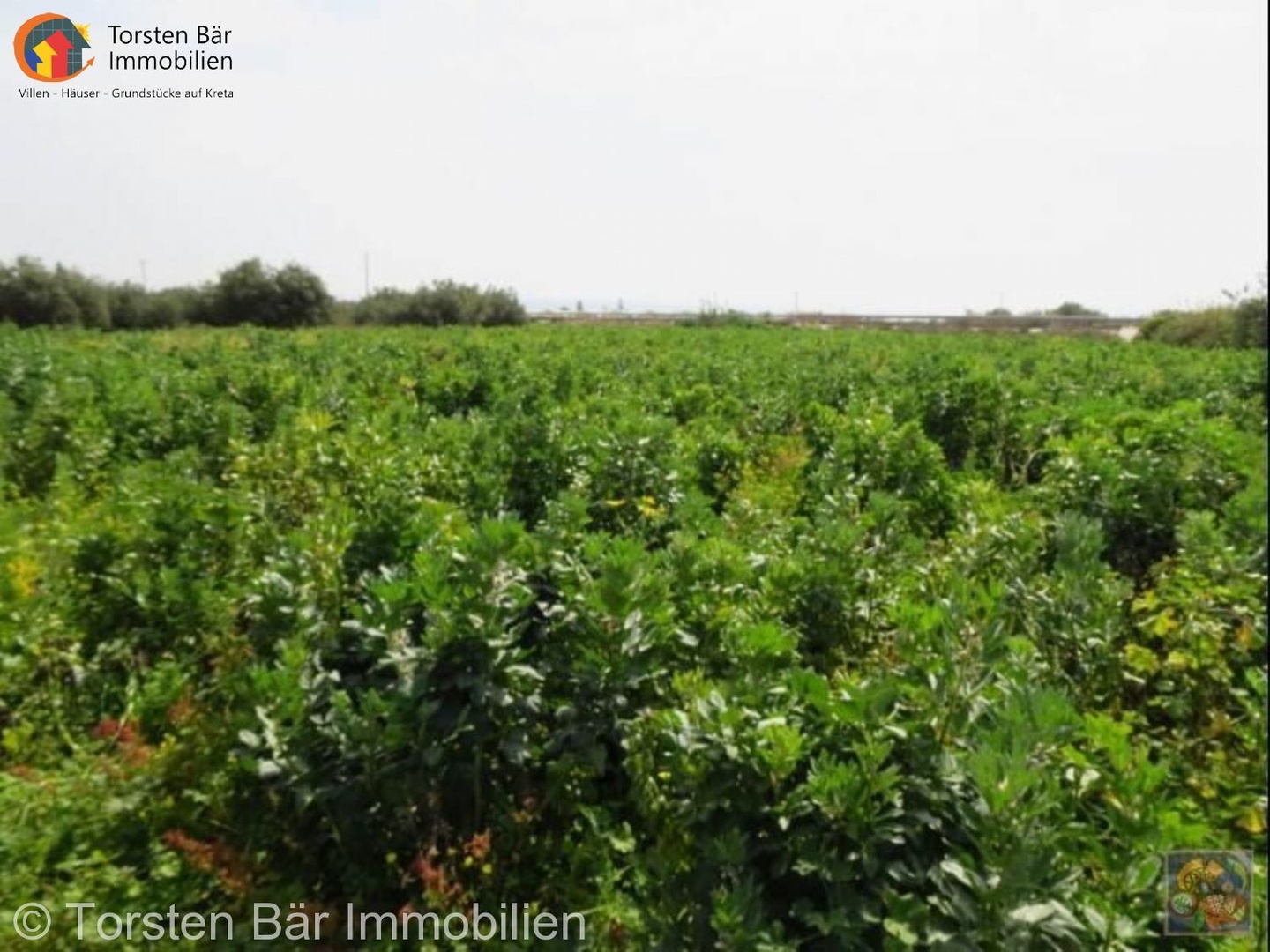 1 - venta terreno makry-gialos creta grecia