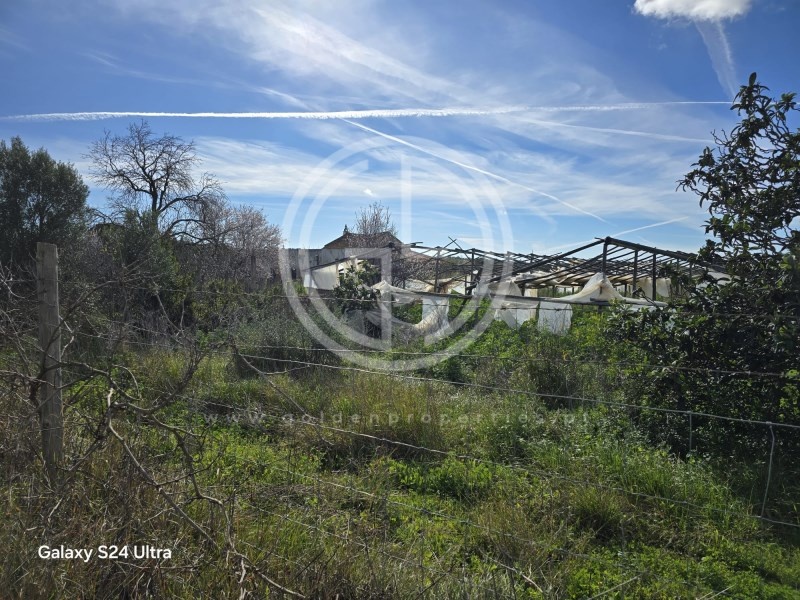 1 - venda terreno conceição algarve portugal