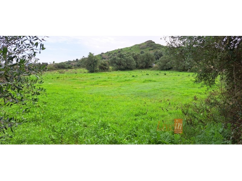 1 - sea view plot of land for sale in algueirão lisbon region portugal