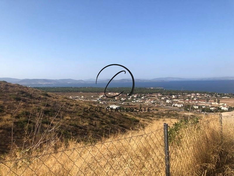 1 - vente terrain nea makri attique grèce