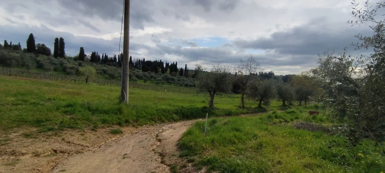 2 - business for sale in sinalunga tuscany italy