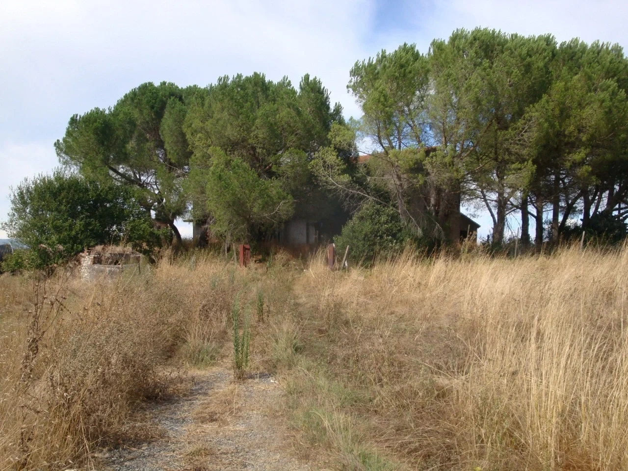 2 - vente maison bibbona toscane italie