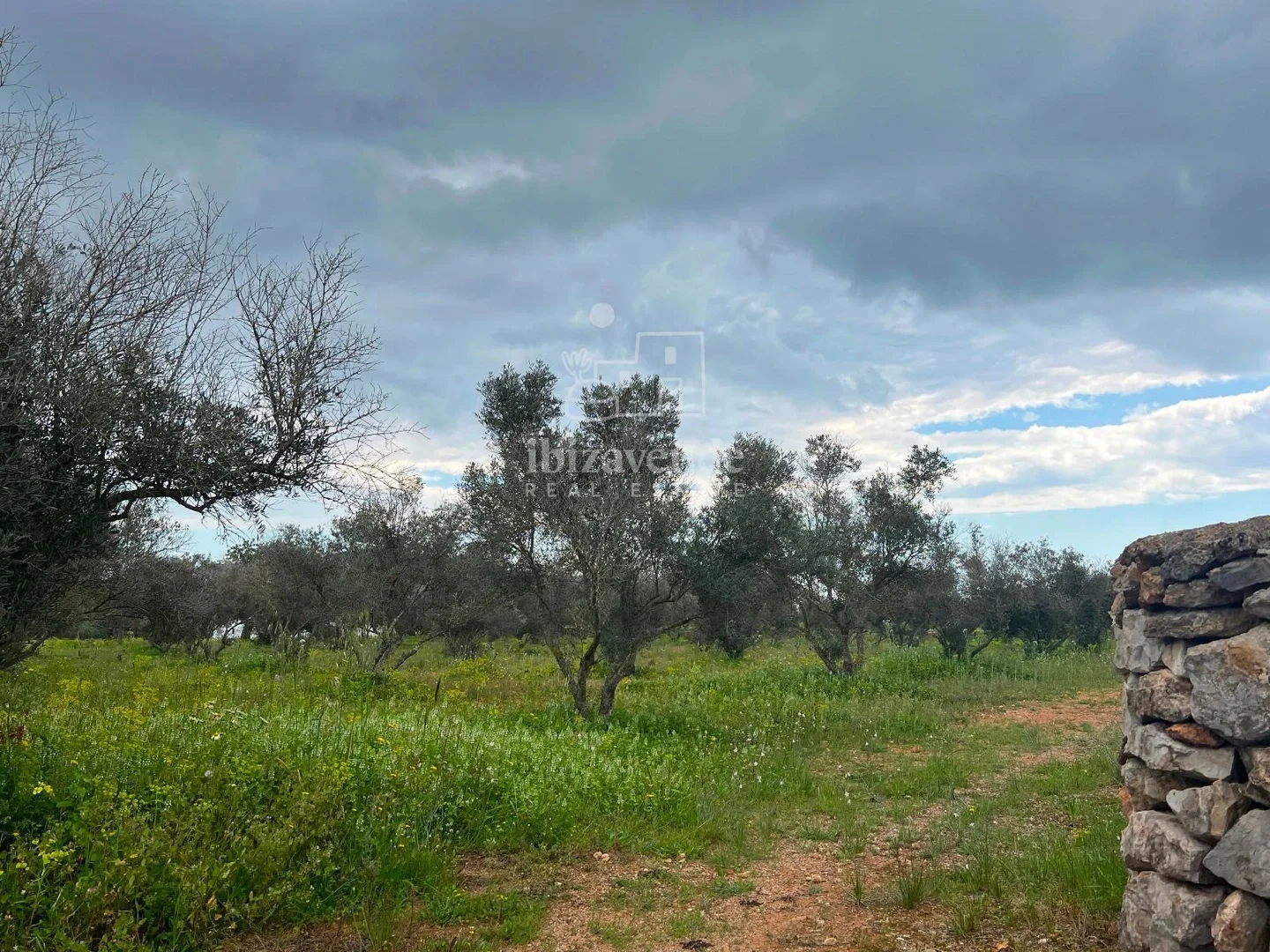 2 - venta casa sant llorenç de balafia ibiza - islas baleares españa