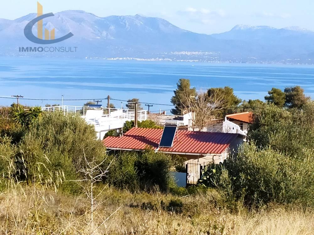 1 - vente terrain vue mer kalamos attique grèce