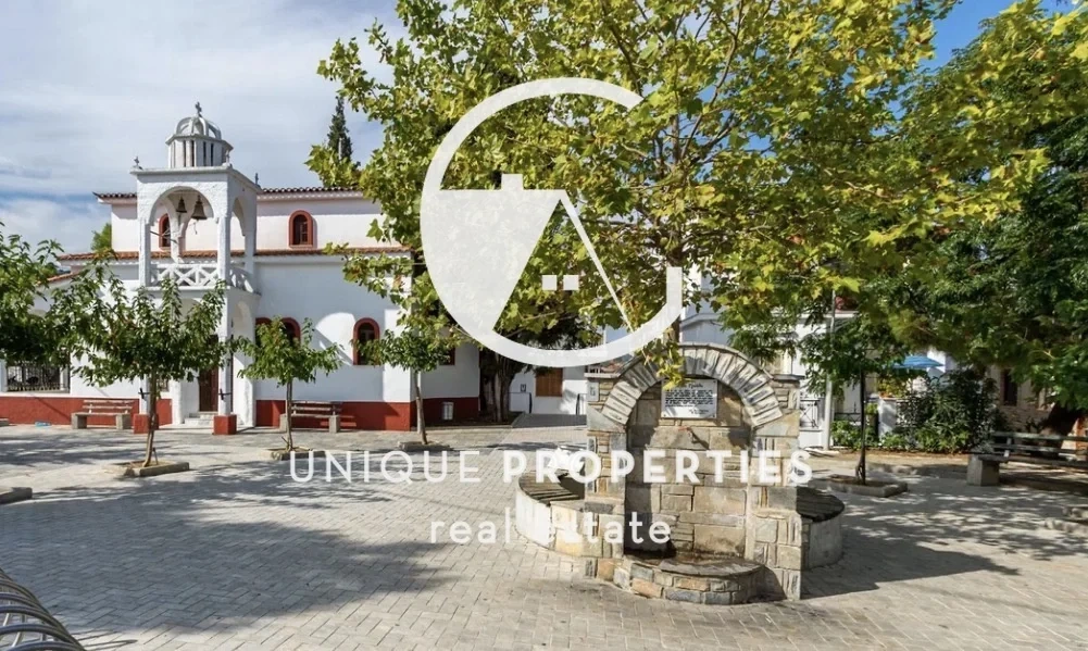 1 - vendita commercio skiathos - sporadi tessaglia grecia