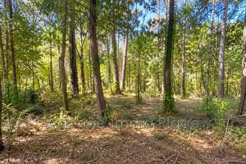 1 - plot of land for sale in vensac gironde france