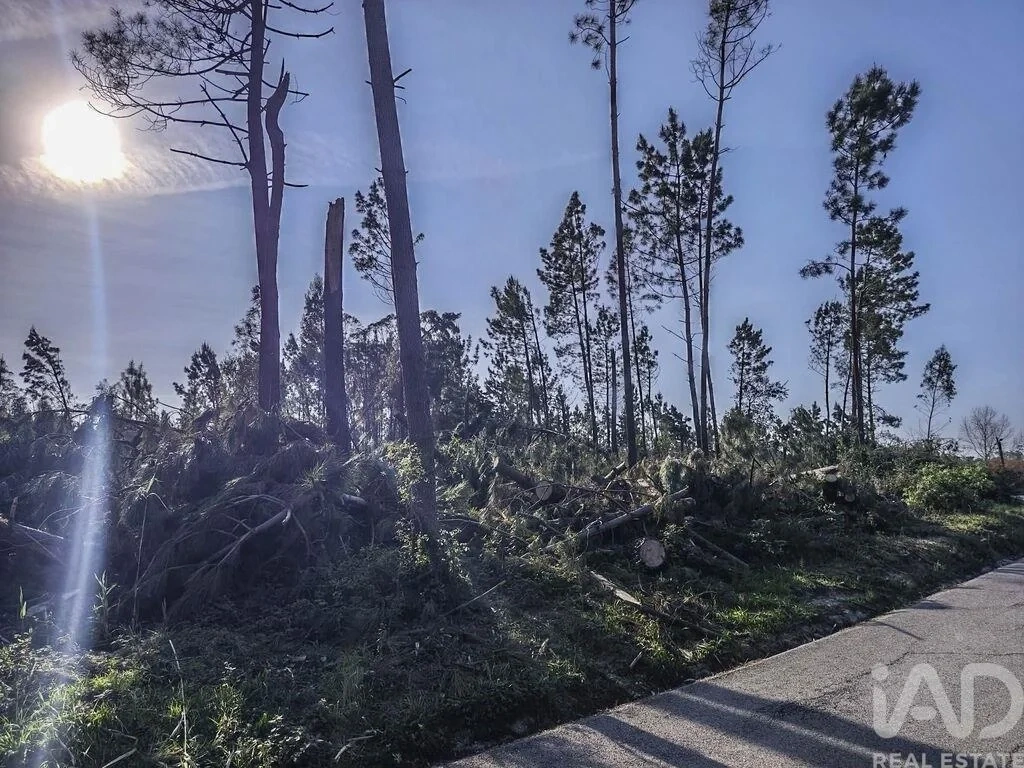 2 - plot of land for sale in leiria centro region portugal