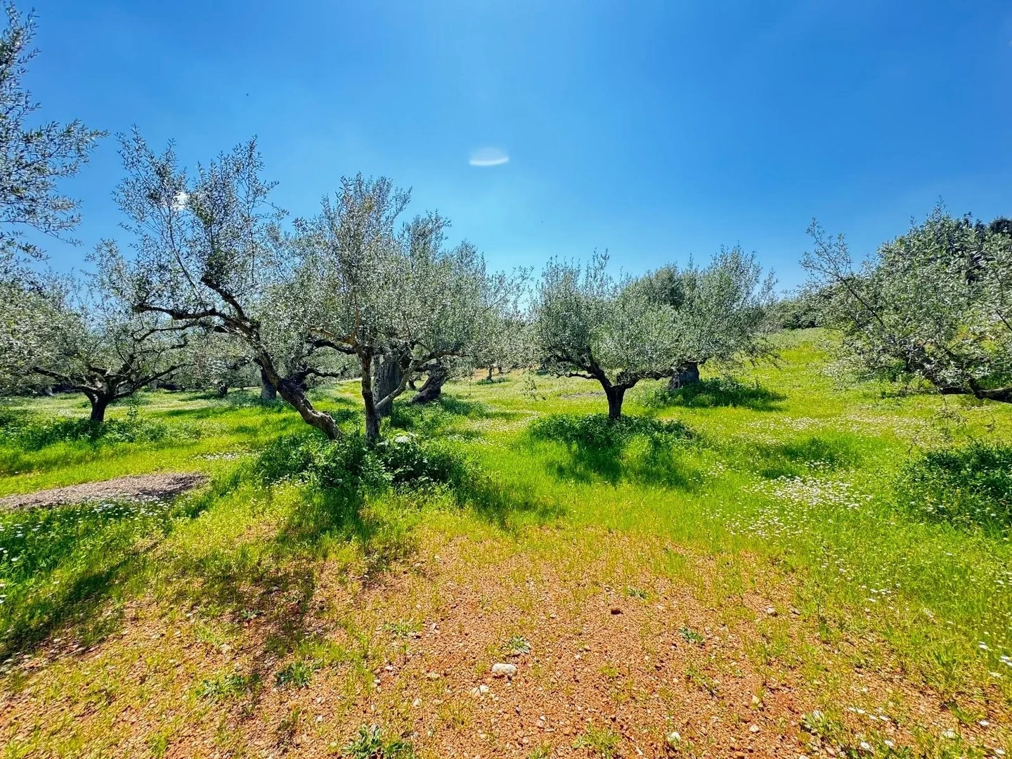 2 - beach walk plot of land for sale in methoni peloponnese greece