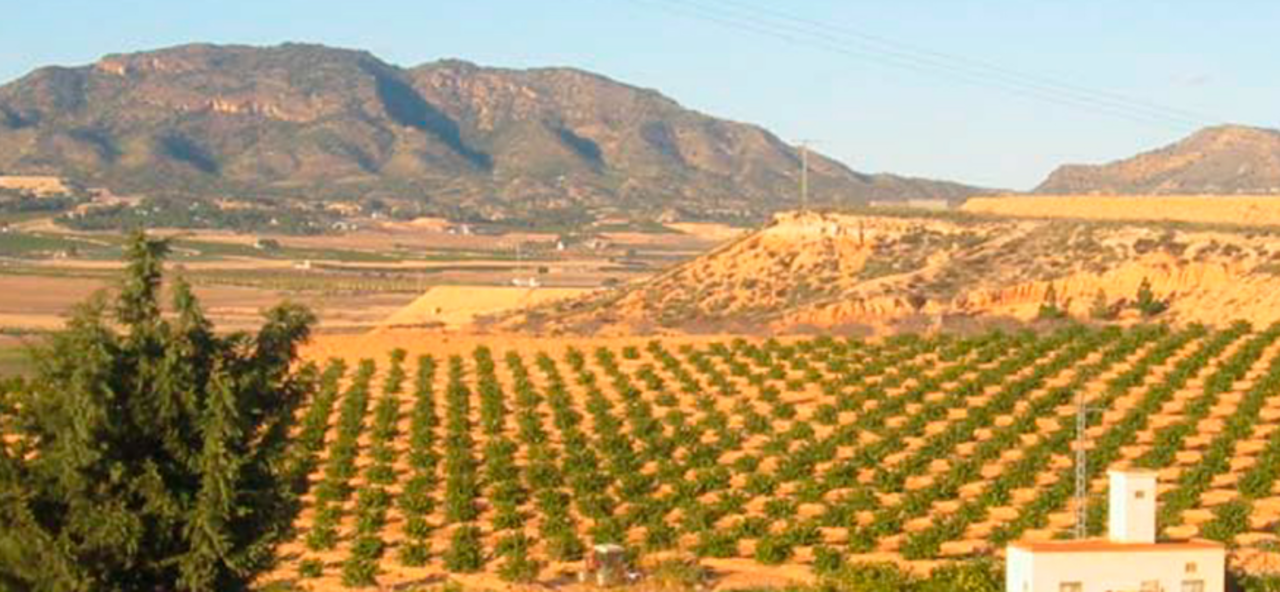 2 - verkauf grundstück torre pacheco region murcia spanien