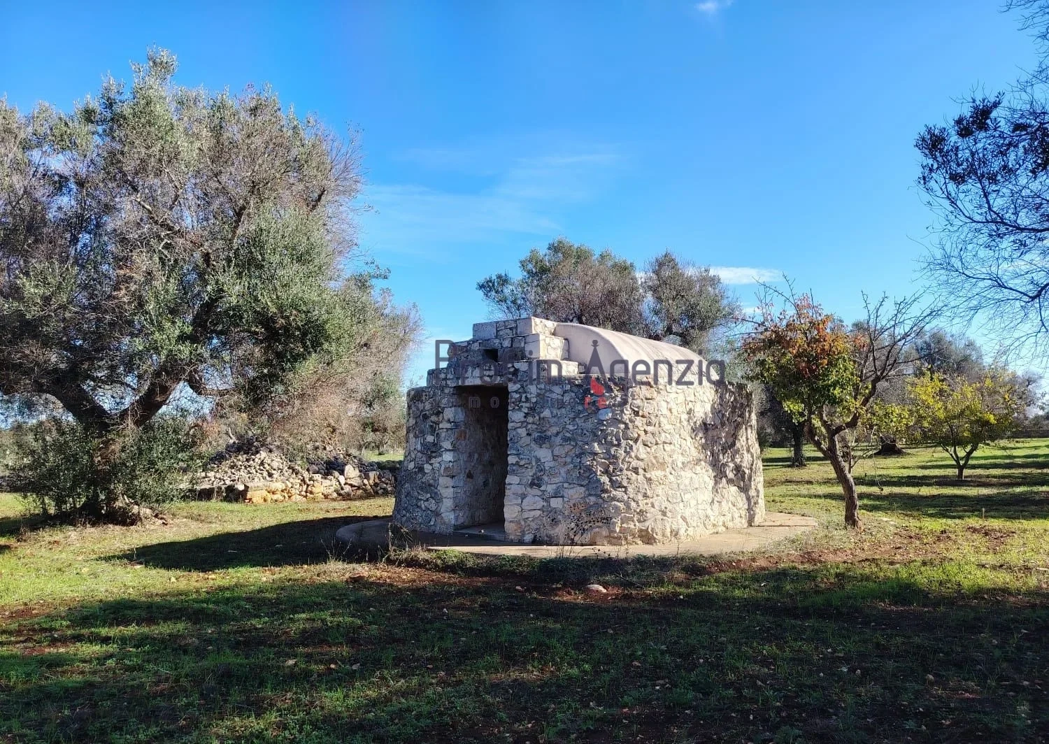 1 - vendita casa san vito dei normanni puglia italia