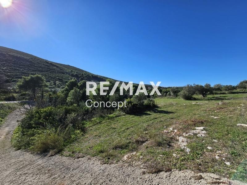 2 - vendita terreno zante isole ioniche grecia