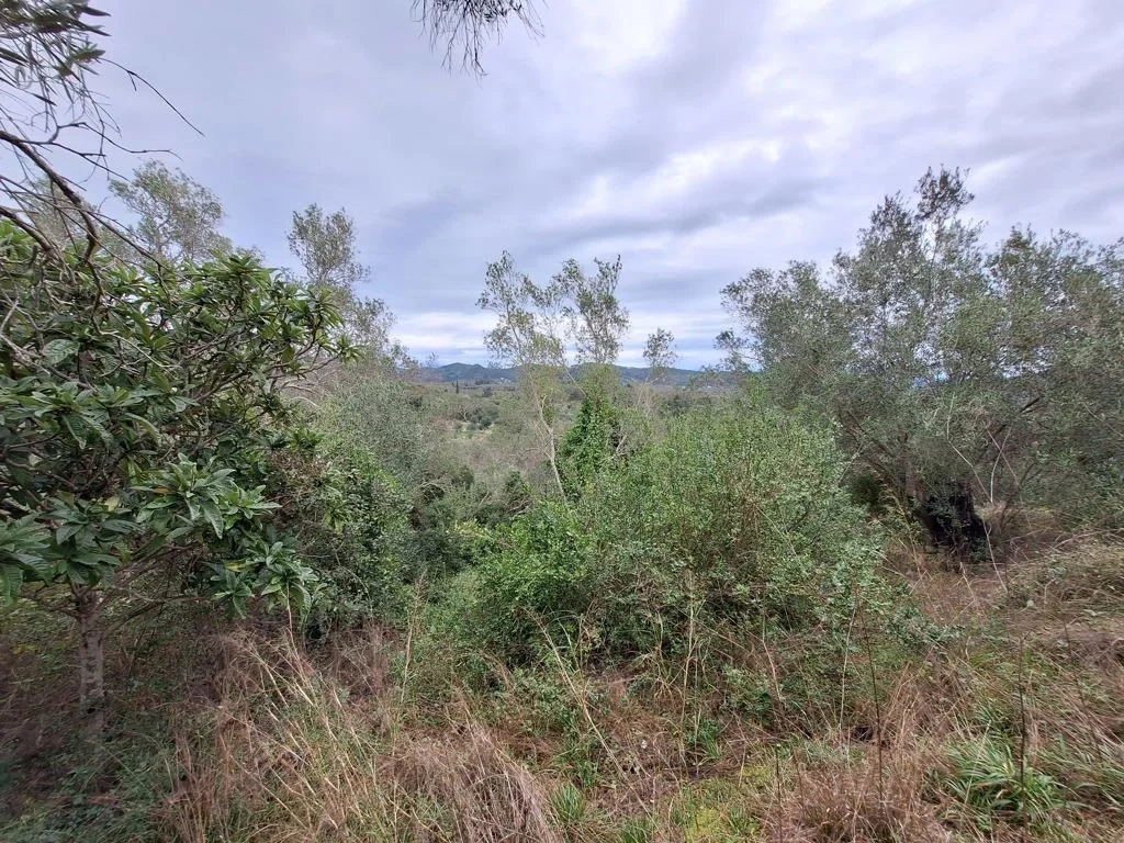 1 - vente terrain mesongí îles ioniennes grèce