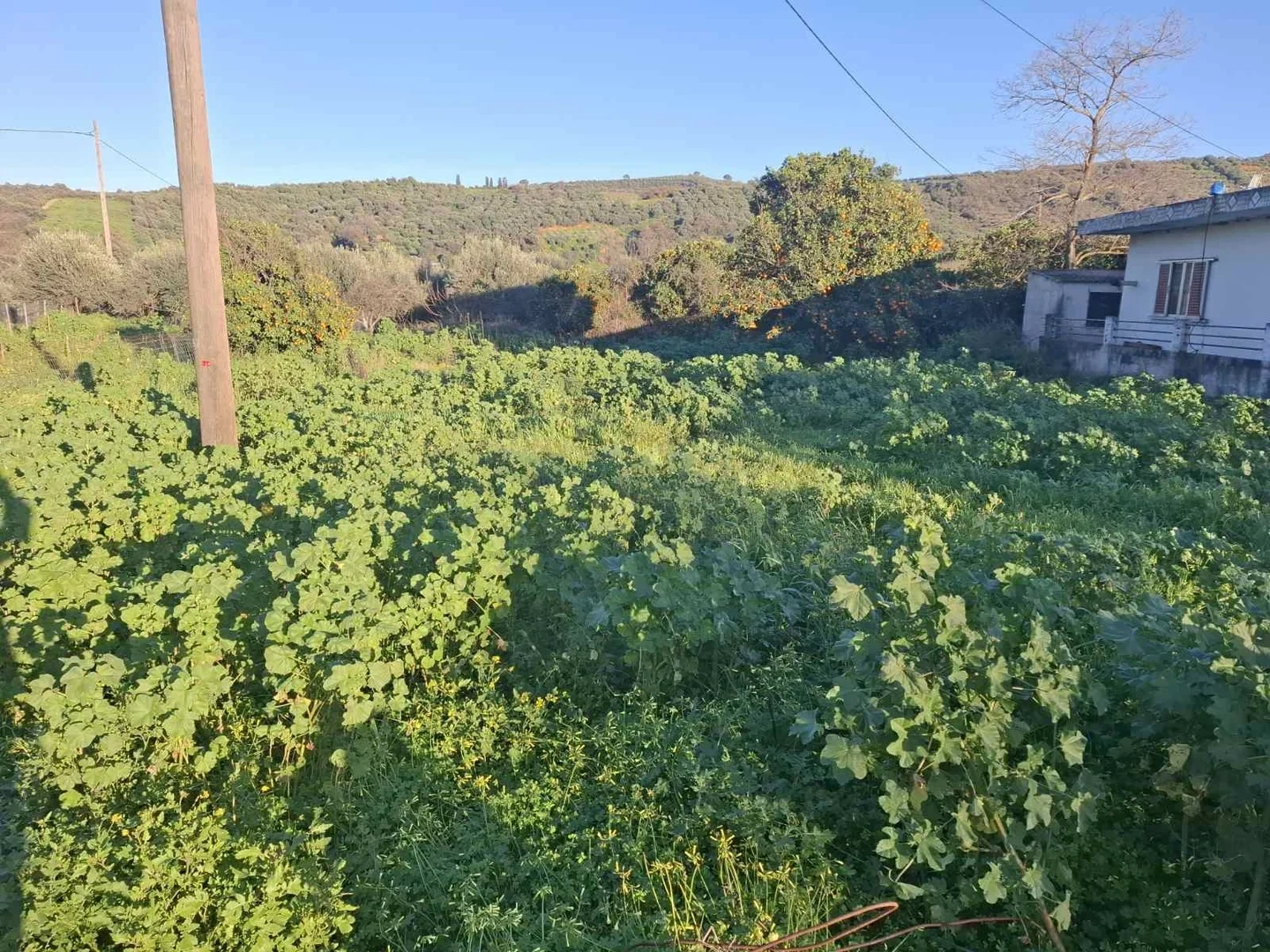 2 - vente terrain koulkouthianá crète grèce