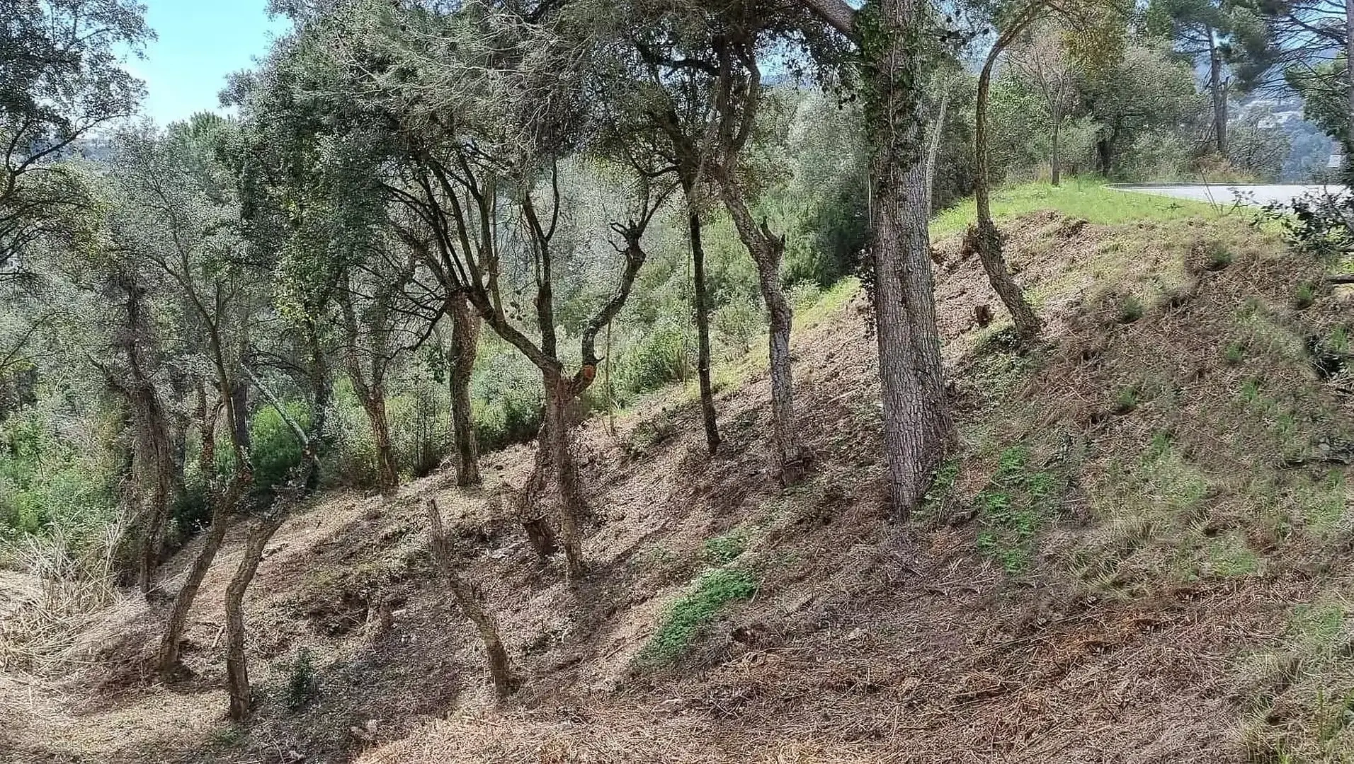 1 - venda terreno calonge catalunha espanha