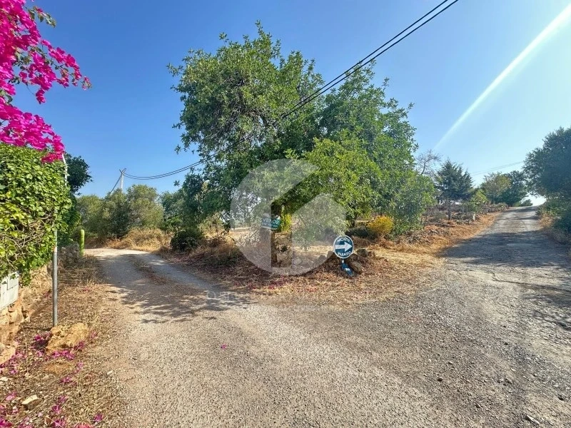1 - venta terreno pechão algarve portugal