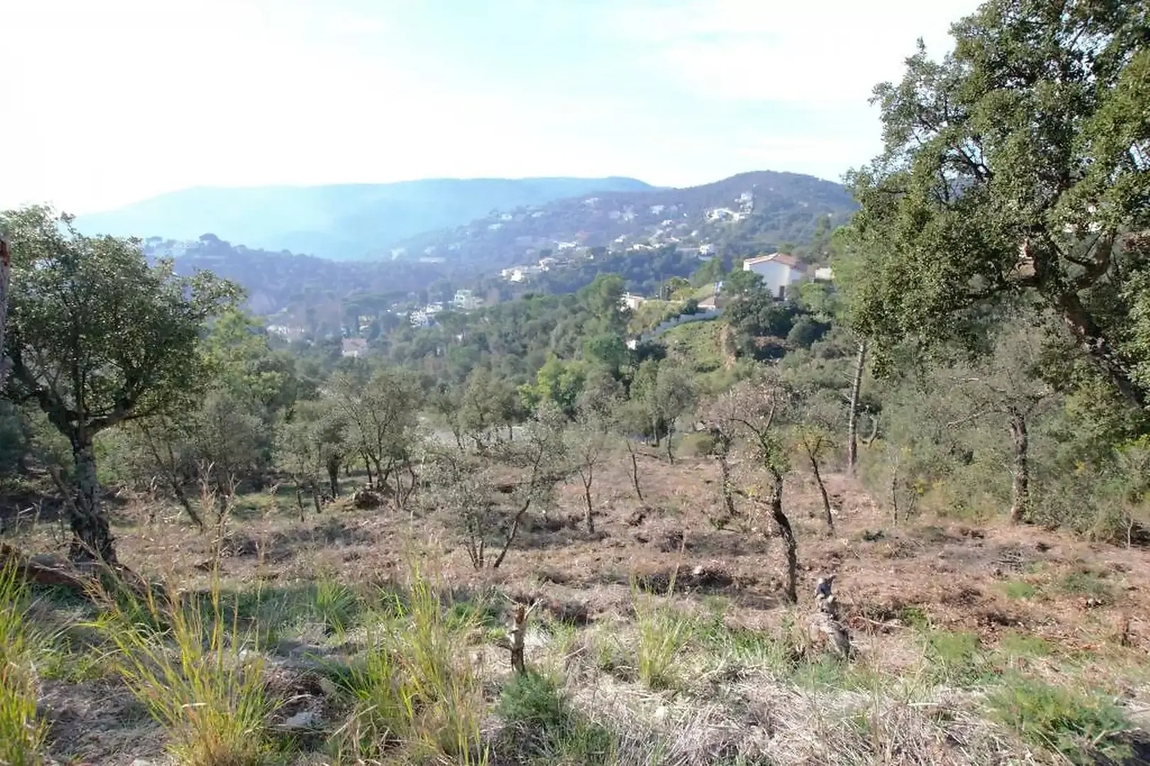 2 - venda terreno calonge catalunha espanha