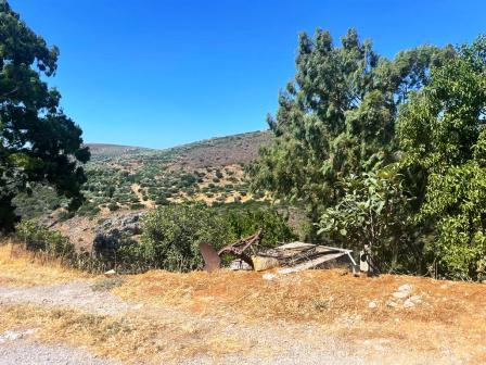Terreno de 240 m²