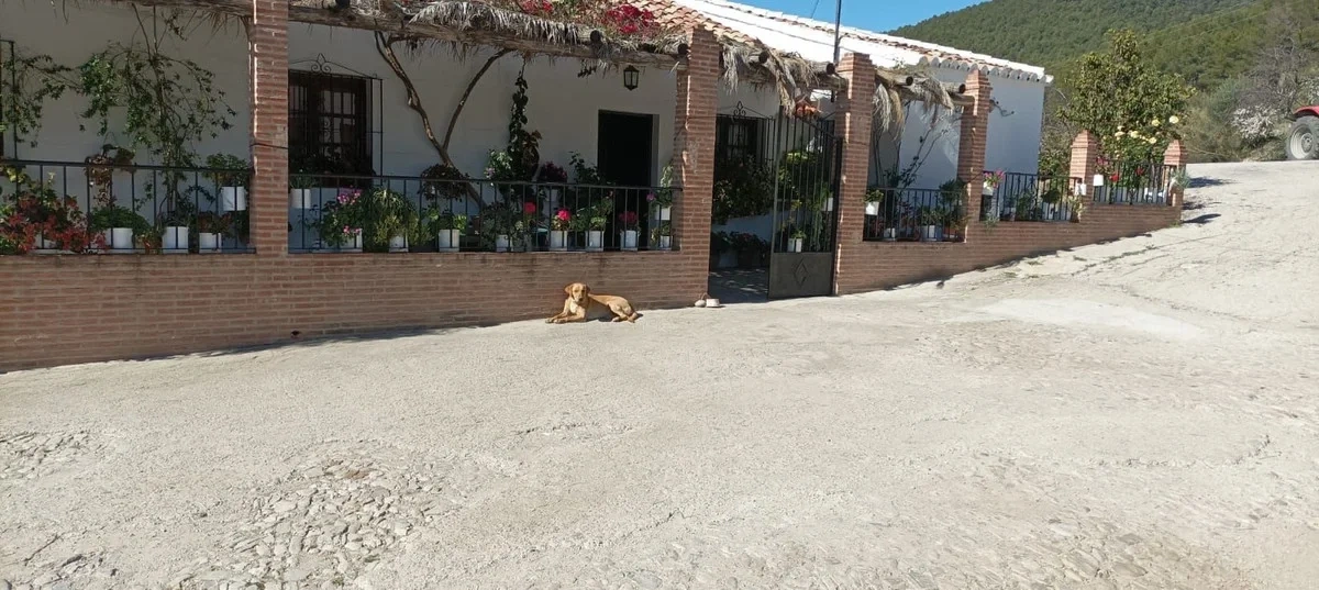 1 - venta casa ronda andalucía españa