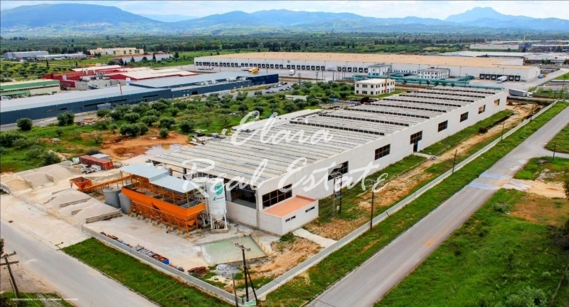 1 - venta comercio ágios stéfanos creta grecia