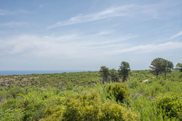 2 - verkauf grundstück meerblick xabia/javea - costa blanca valencia spanien