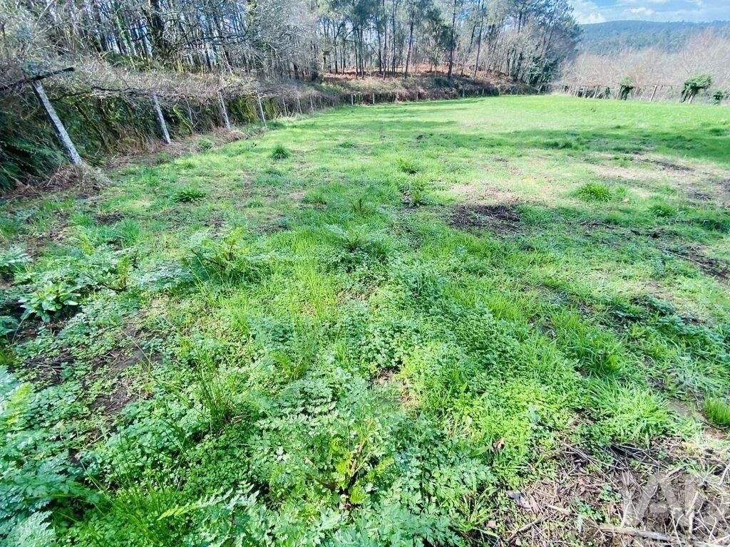 2 - venta terreno vila nova de cerveira región norte portugal